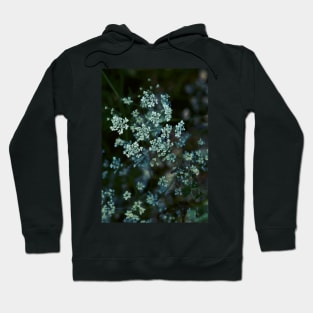 Cow Parsley Hoodie